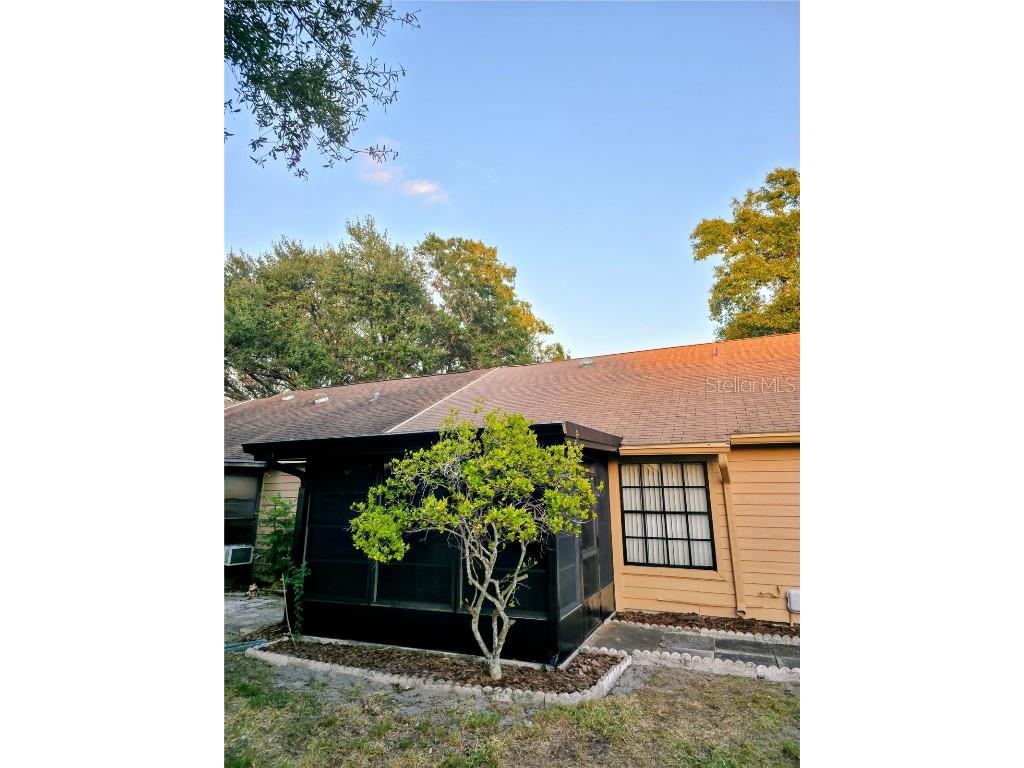 2608 Bentley Drive Palm Harbor FL 34684 TB8432039 image31