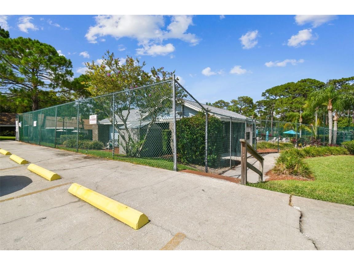 2608 Bentley Drive Palm Harbor FL 34684 TB8432039 image35