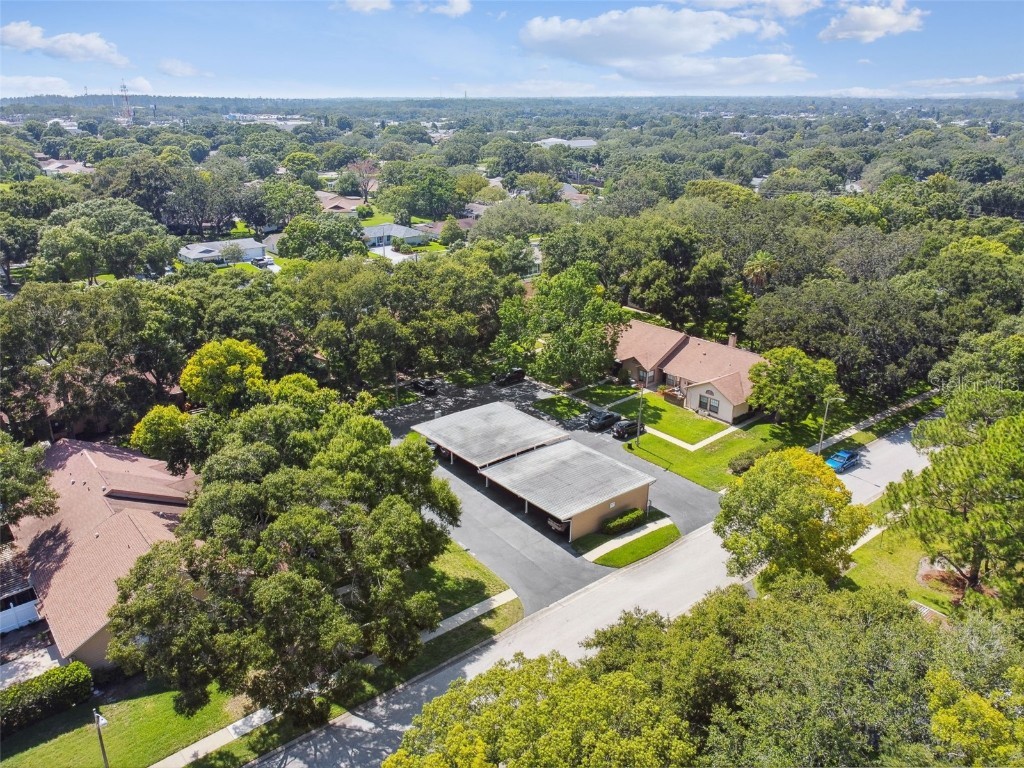 2608 Bentley Drive Palm Harbor FL 34684 TB8432039 image38