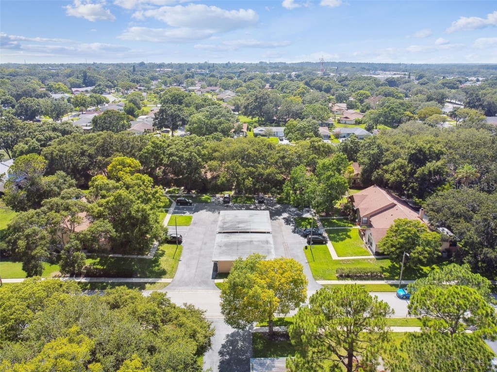 2608 Bentley Drive Palm Harbor FL 34684 TB8432039 image39