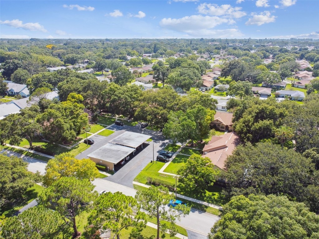 2608 Bentley Drive Palm Harbor FL 34684 TB8432039 image40