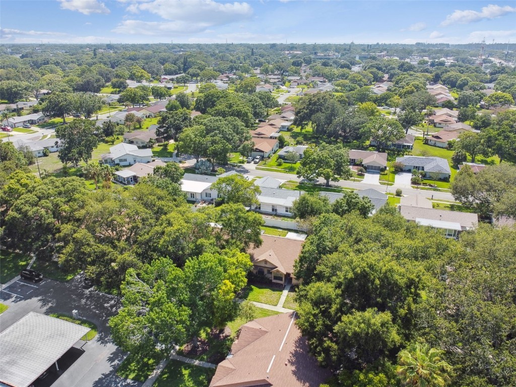 2608 Bentley Drive Palm Harbor FL 34684 TB8432039 image41