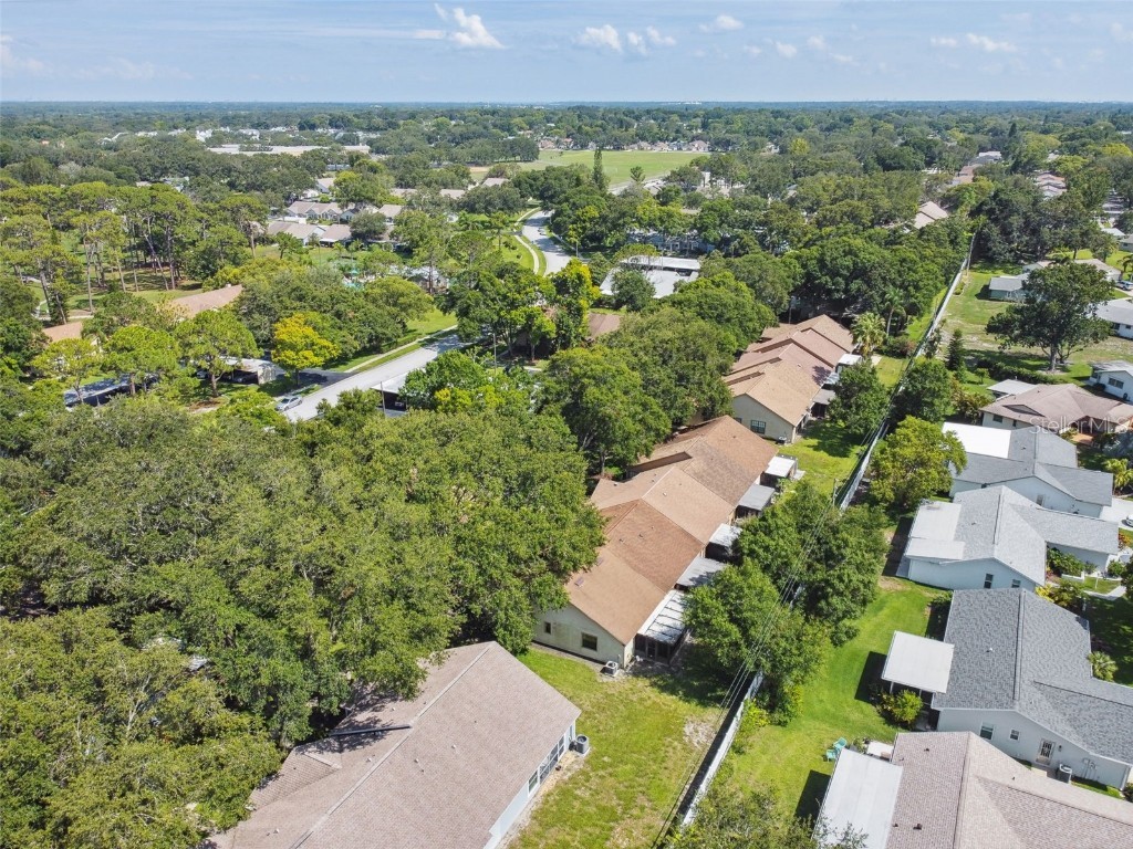 2608 Bentley Drive Palm Harbor FL 34684 TB8432039 image43