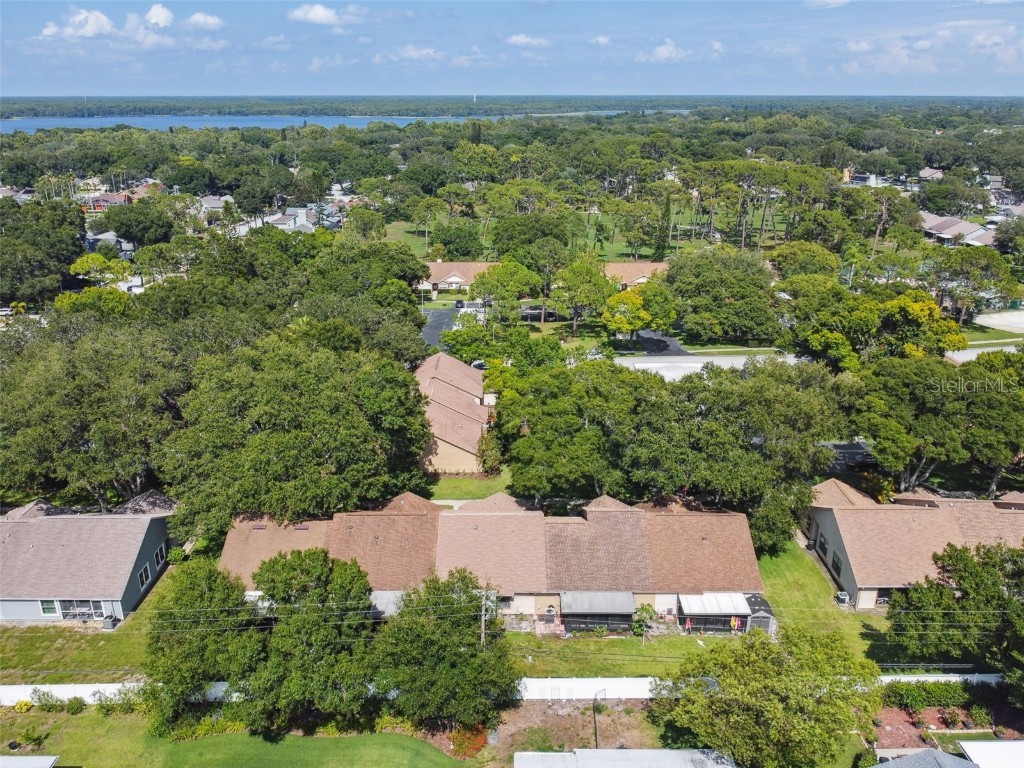 2608 Bentley Drive Palm Harbor FL 34684 TB8432039 image44