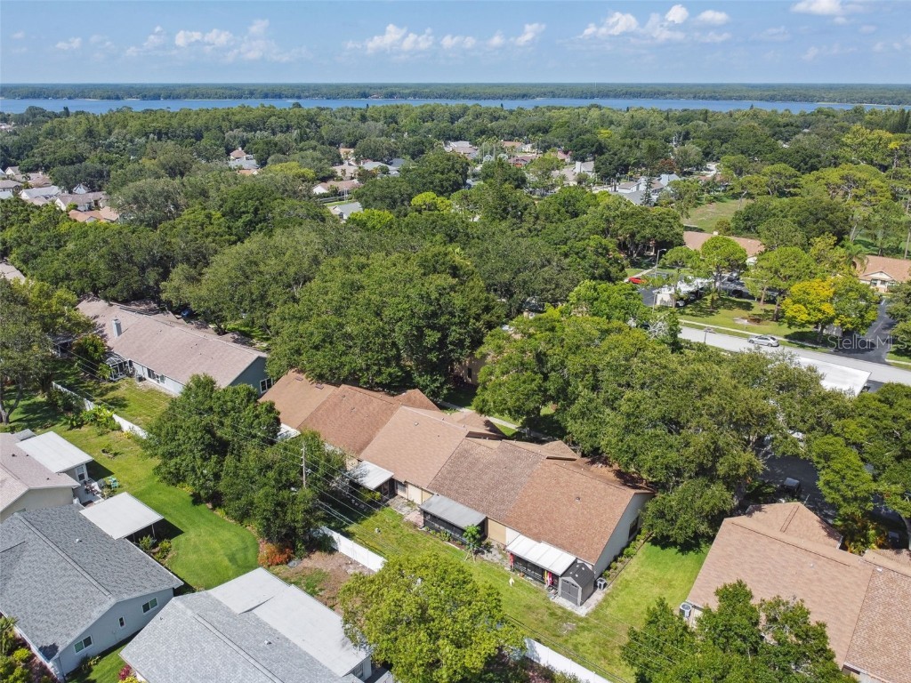 2608 Bentley Drive Palm Harbor FL 34684 TB8432039 image45