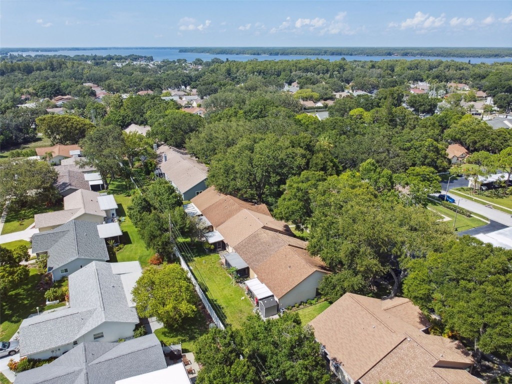 2608 Bentley Drive Palm Harbor FL 34684 TB8432039 image46