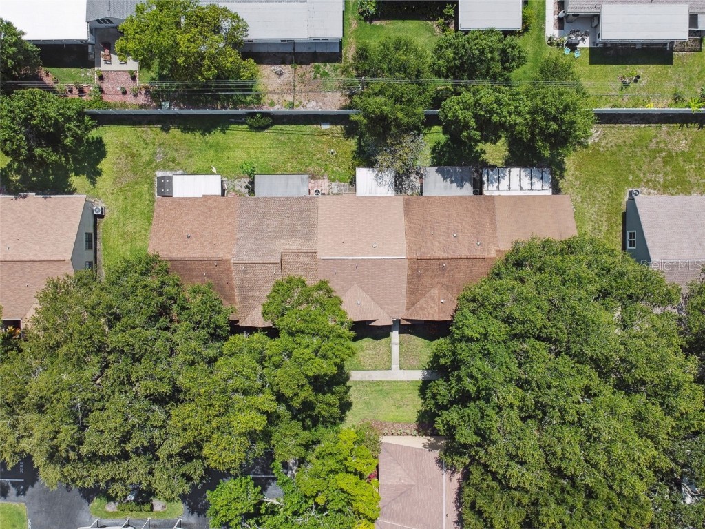 2608 Bentley Drive Palm Harbor FL 34684 TB8432039 image47