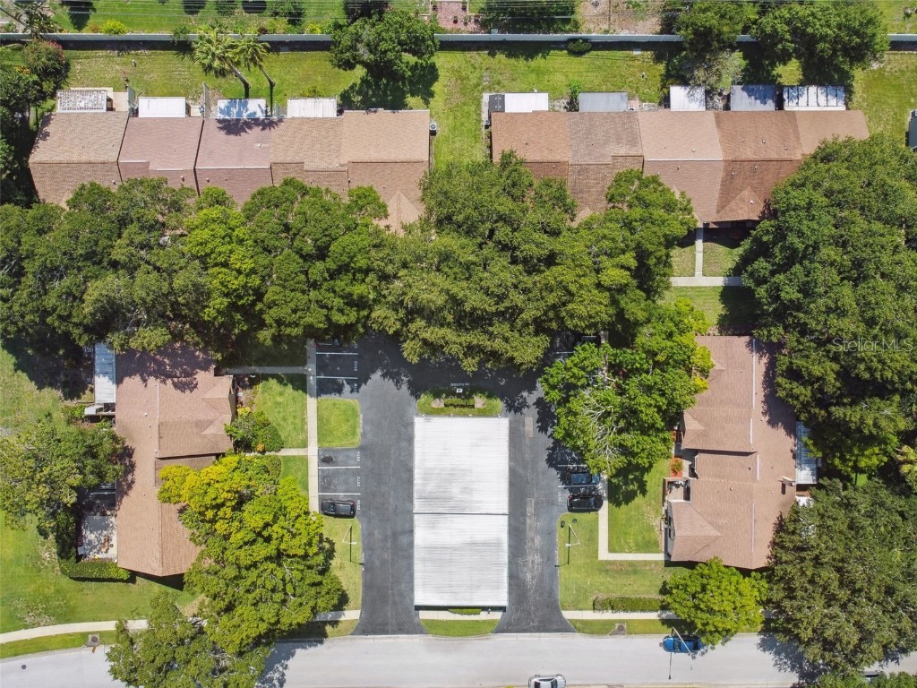 2608 Bentley Drive Palm Harbor FL 34684 TB8432039 image48