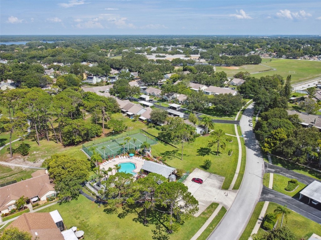 2608 Bentley Drive Palm Harbor FL 34684 TB8432039 image49