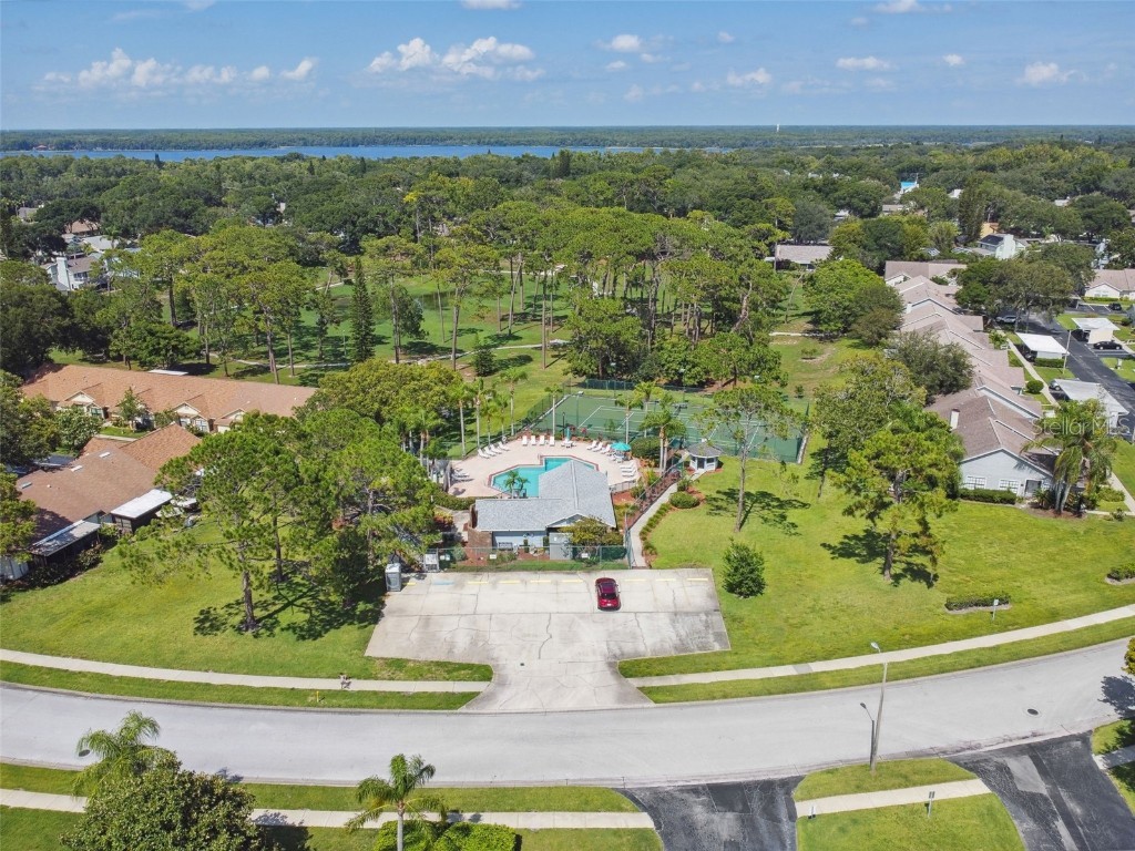 2608 Bentley Drive Palm Harbor FL 34684 TB8432039 image50