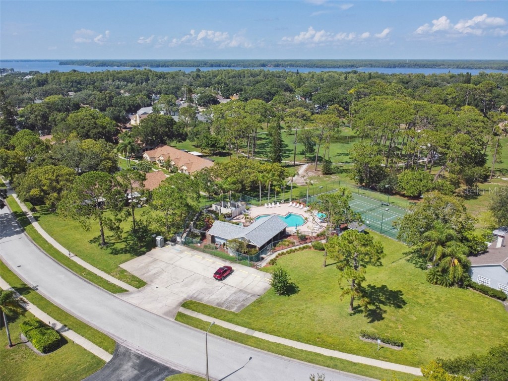 2608 Bentley Drive Palm Harbor FL 34684 TB8432039 image51