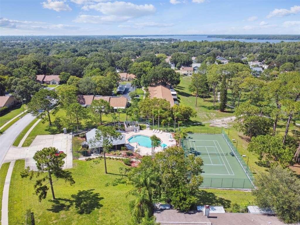 2608 Bentley Drive Palm Harbor FL 34684 TB8432039 image52