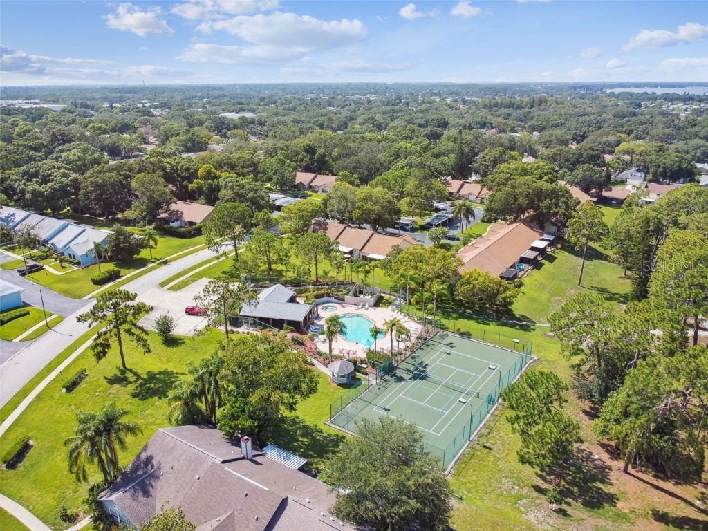 2608 Bentley Drive Palm Harbor FL 34684 TB8432039 image53