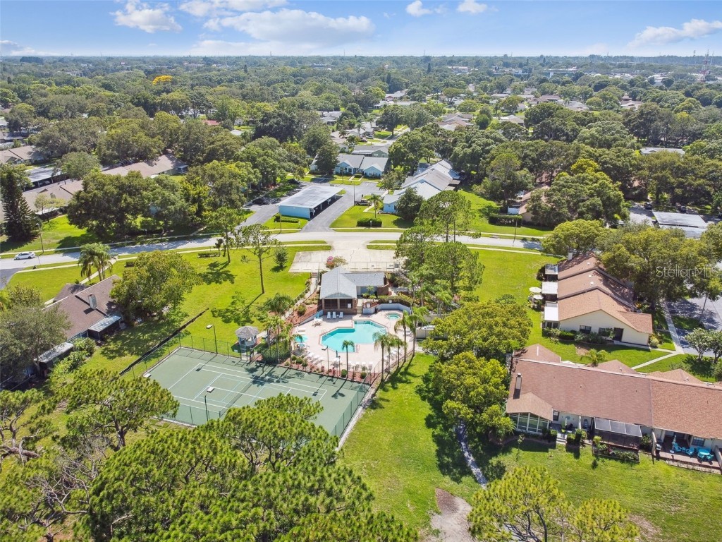 2608 Bentley Drive Palm Harbor FL 34684 TB8432039 image54