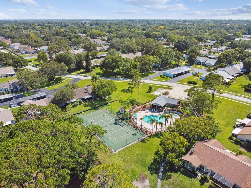 2608 Bentley Drive Palm Harbor FL 34684 TB8432039 image55