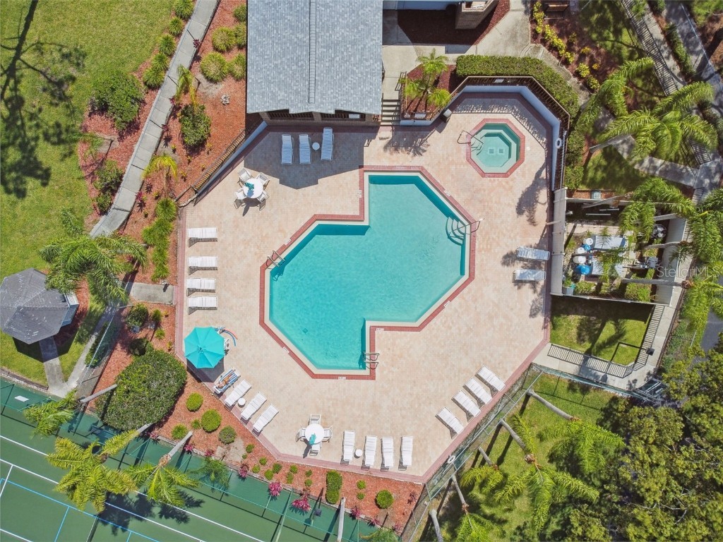 2608 Bentley Drive Palm Harbor FL 34684 TB8432039 image58