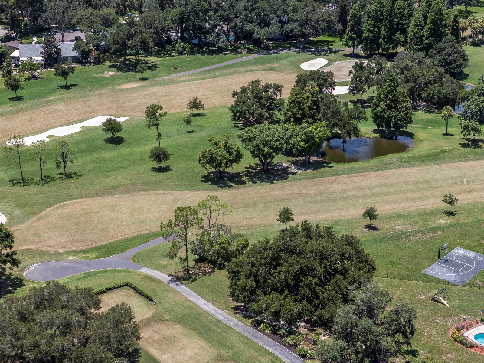 2608 Berryvine Place Valrico FL 33596 TB8529376 image47