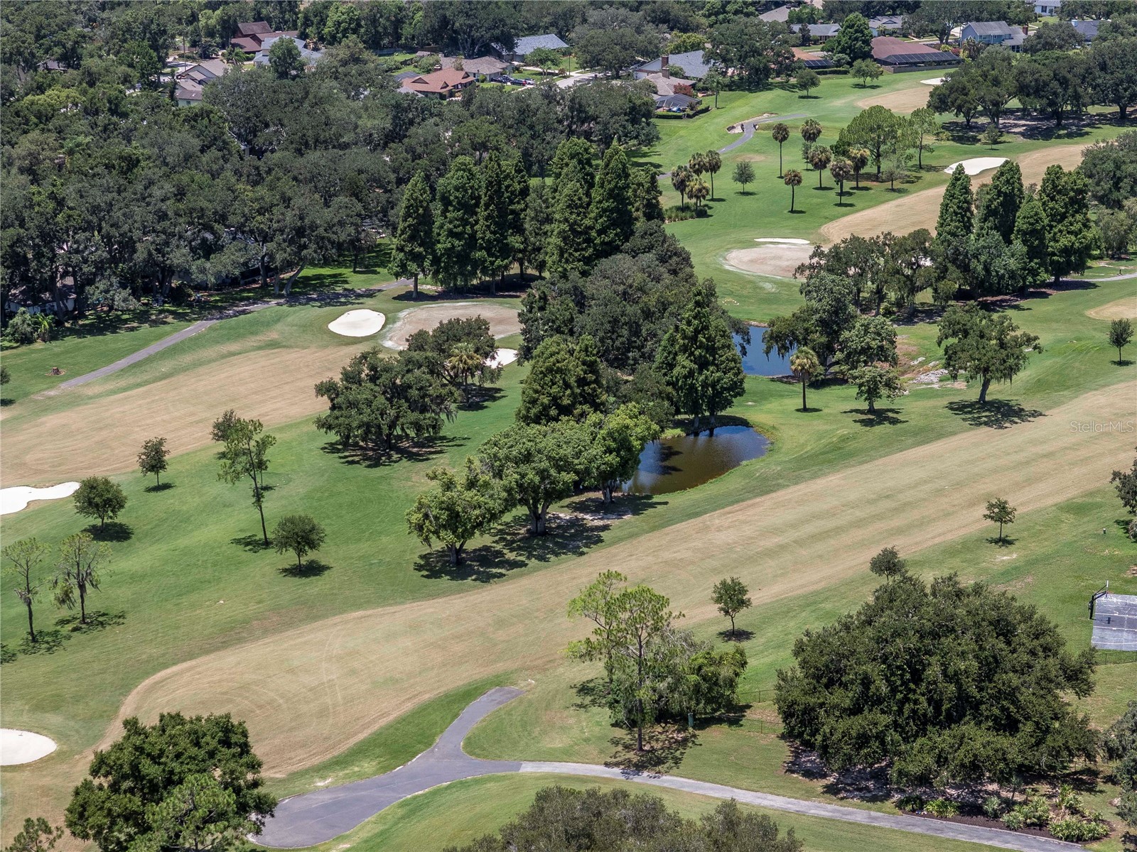 2608 Berryvine Place Valrico FL 33596 TB8529376 image48