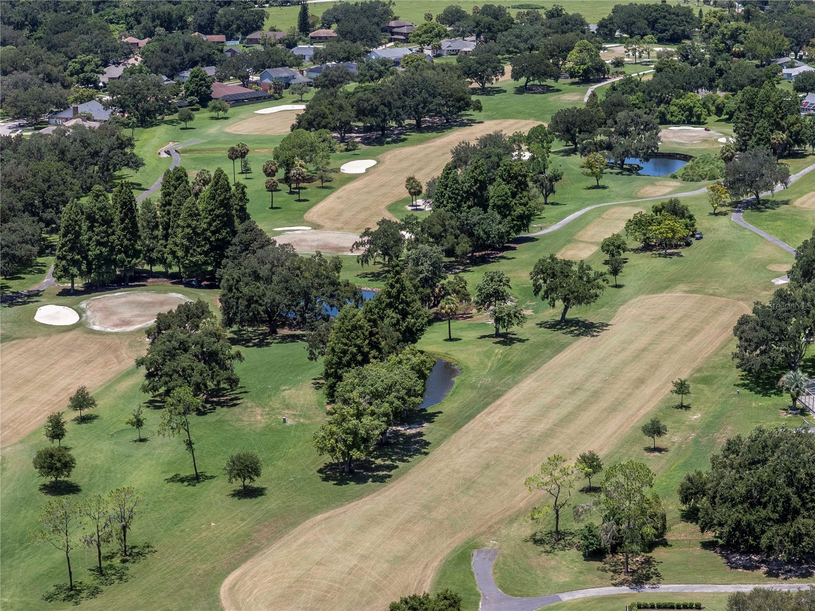 2608 Berryvine Place Valrico FL 33596 TB8529376 image49