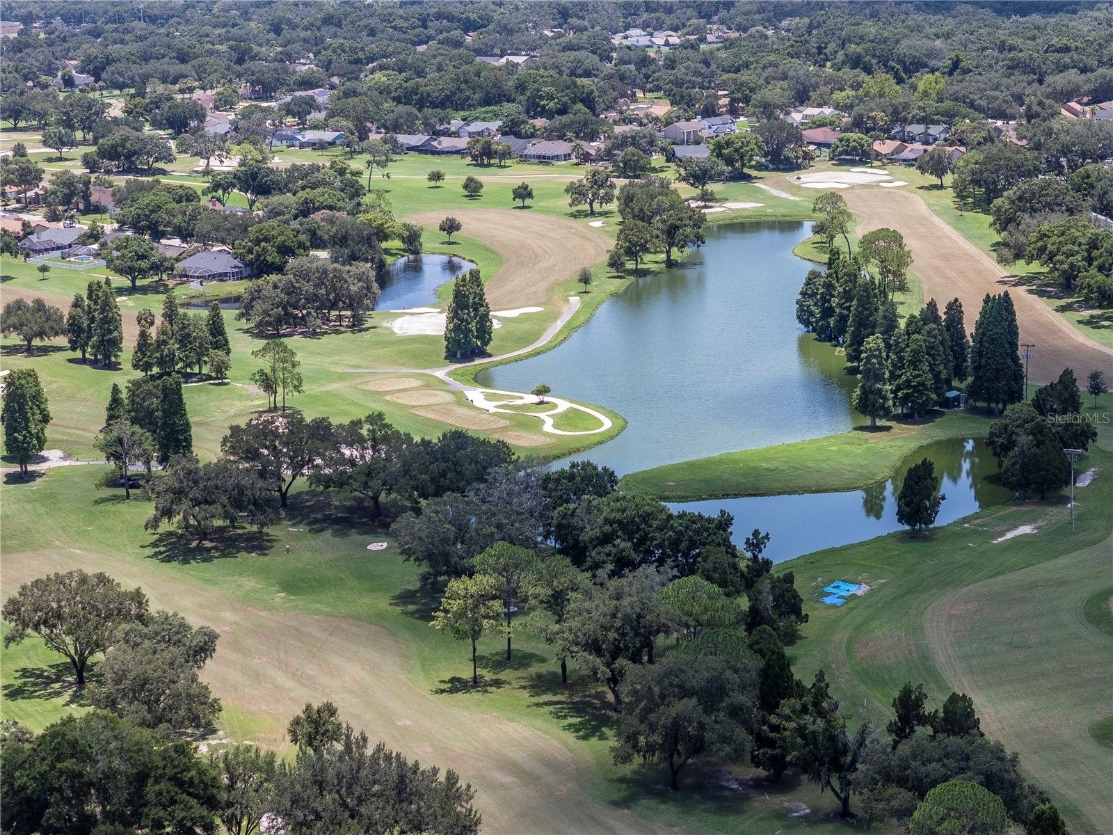 2608 Berryvine Place Valrico FL 33596 TB8529376 image53