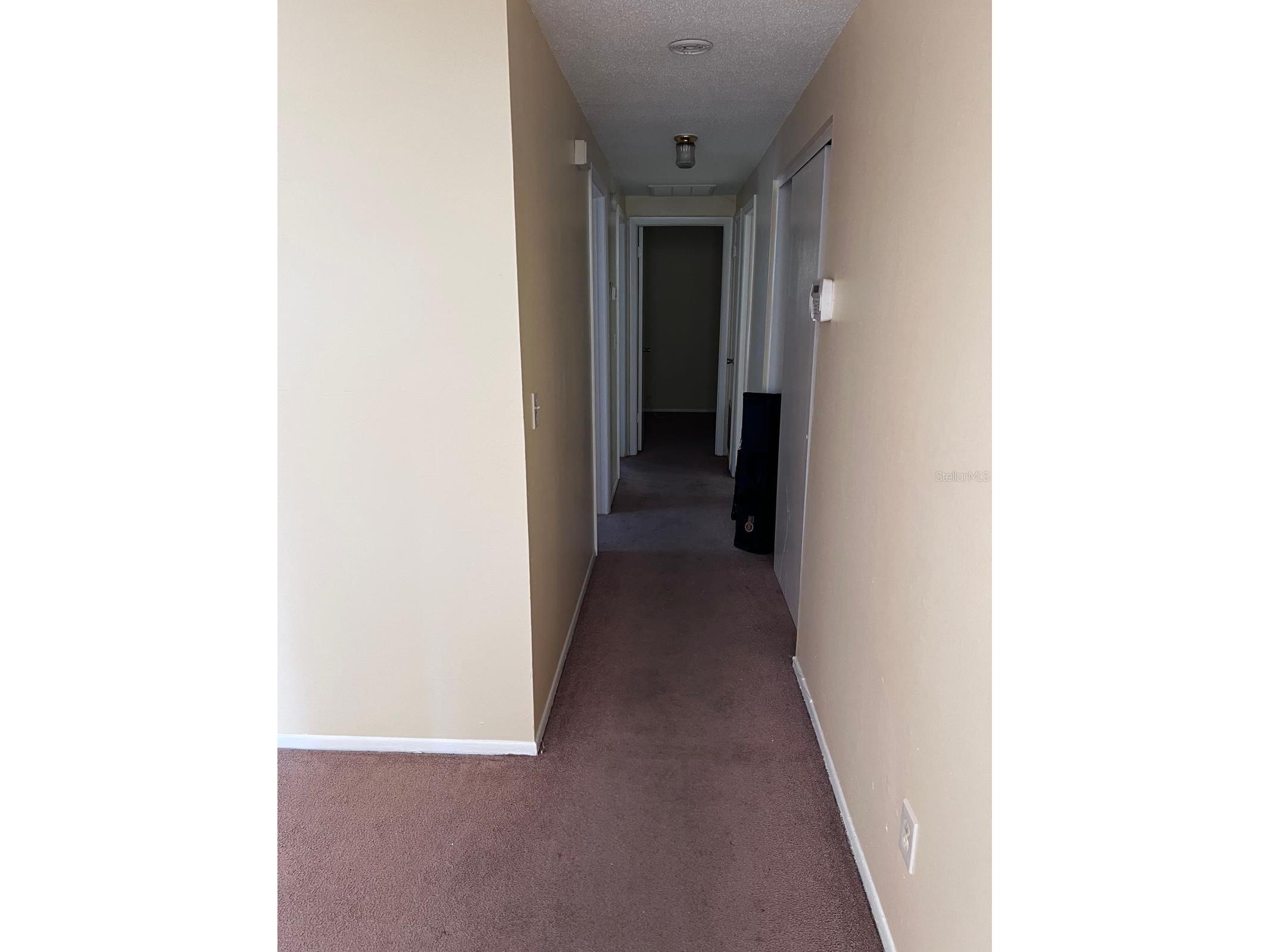 2608 E 97th Avenue Tampa FL 33612 TB8494050 image5