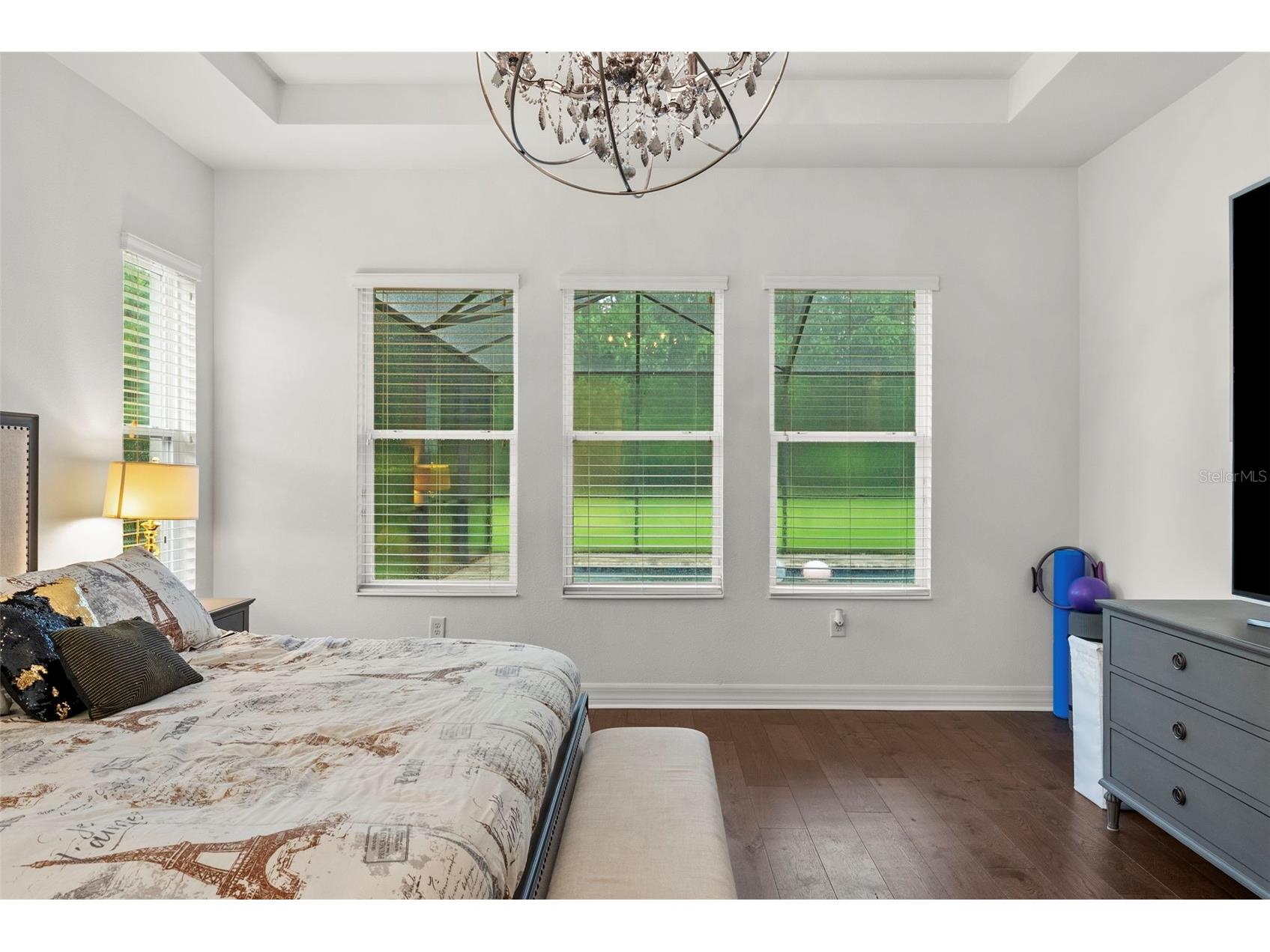 2608 Meadow Grange Lane Lutz FL 33559 TB8526020 image28