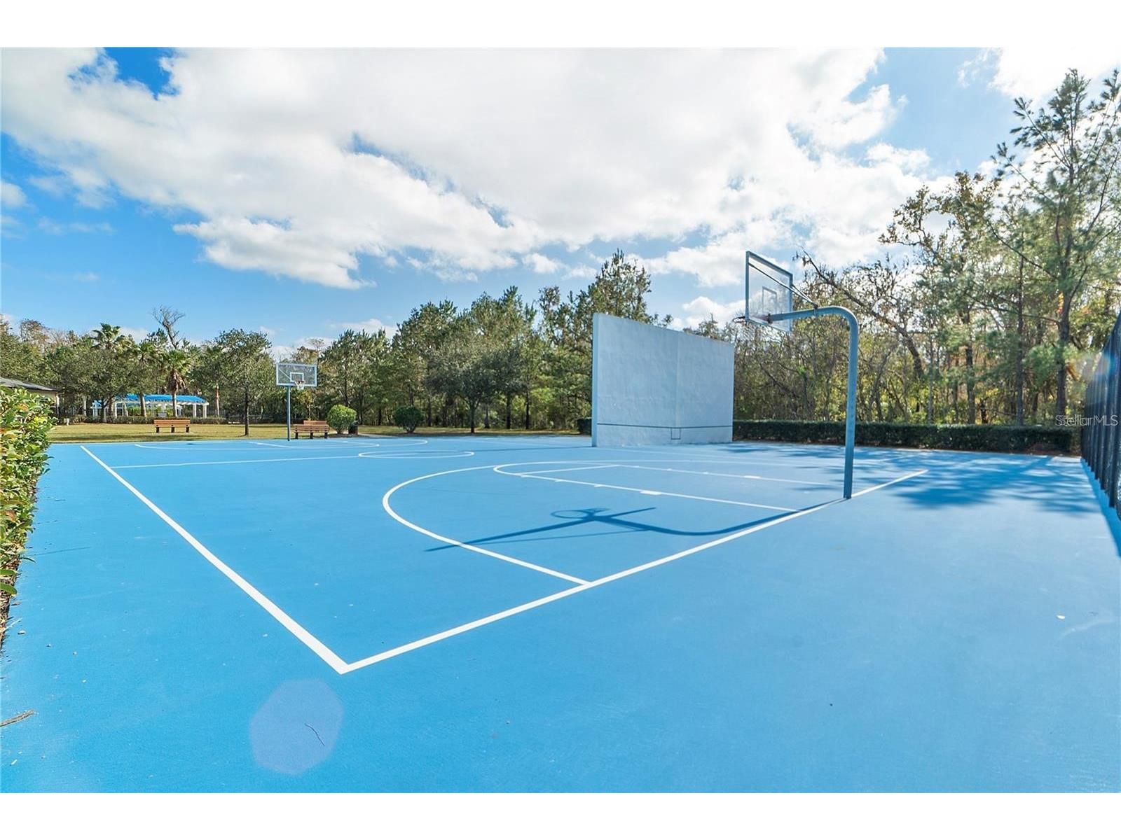 2608 Meadow Grange Lane Lutz FL 33559 TB8526020 image84