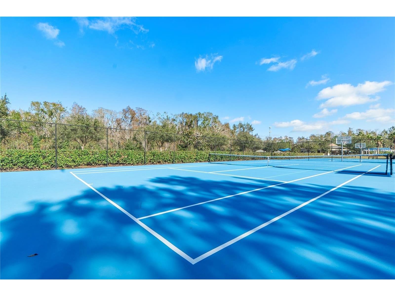 2608 Meadow Grange Lane Lutz FL 33559 TB8526020 image86