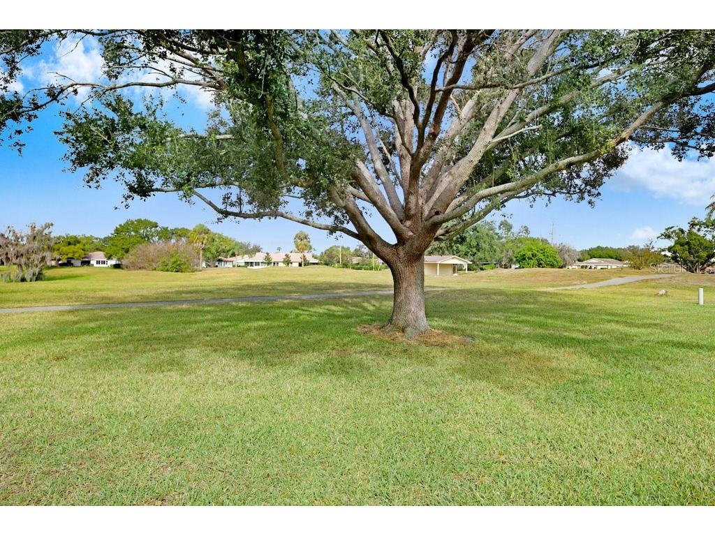 2608 Newcomb Court #2608 Sun City Center FL 33573 A4675311 image33