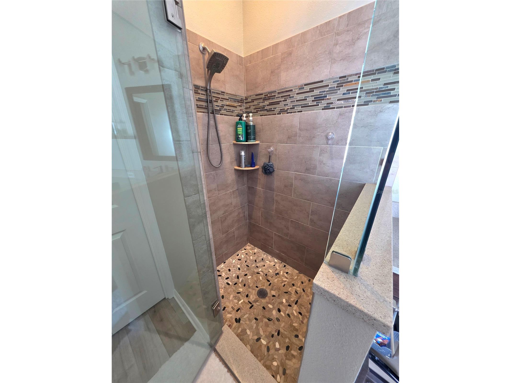 2608 Vinedale Avenue Valrico FL 33596 O6403519 image26