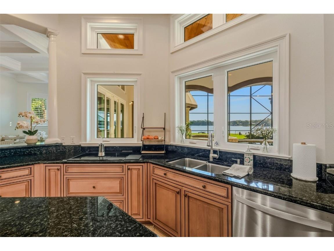 2609 Clark Road Tampa FL 33618 - LAKE MAGDALENE TB8459744 image18