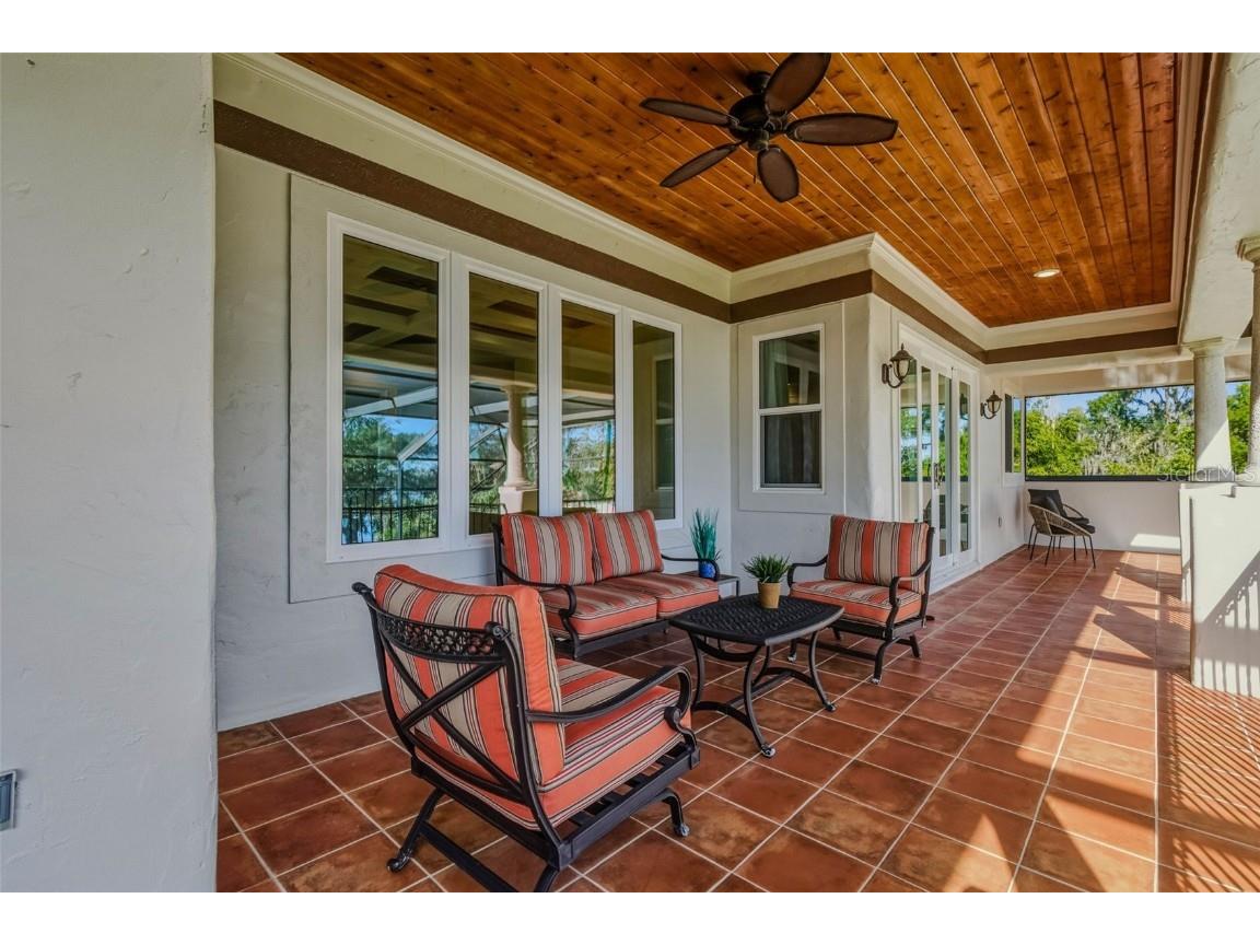 2609 Clark Road Tampa FL 33618 - LAKE MAGDALENE TB8459744 image37