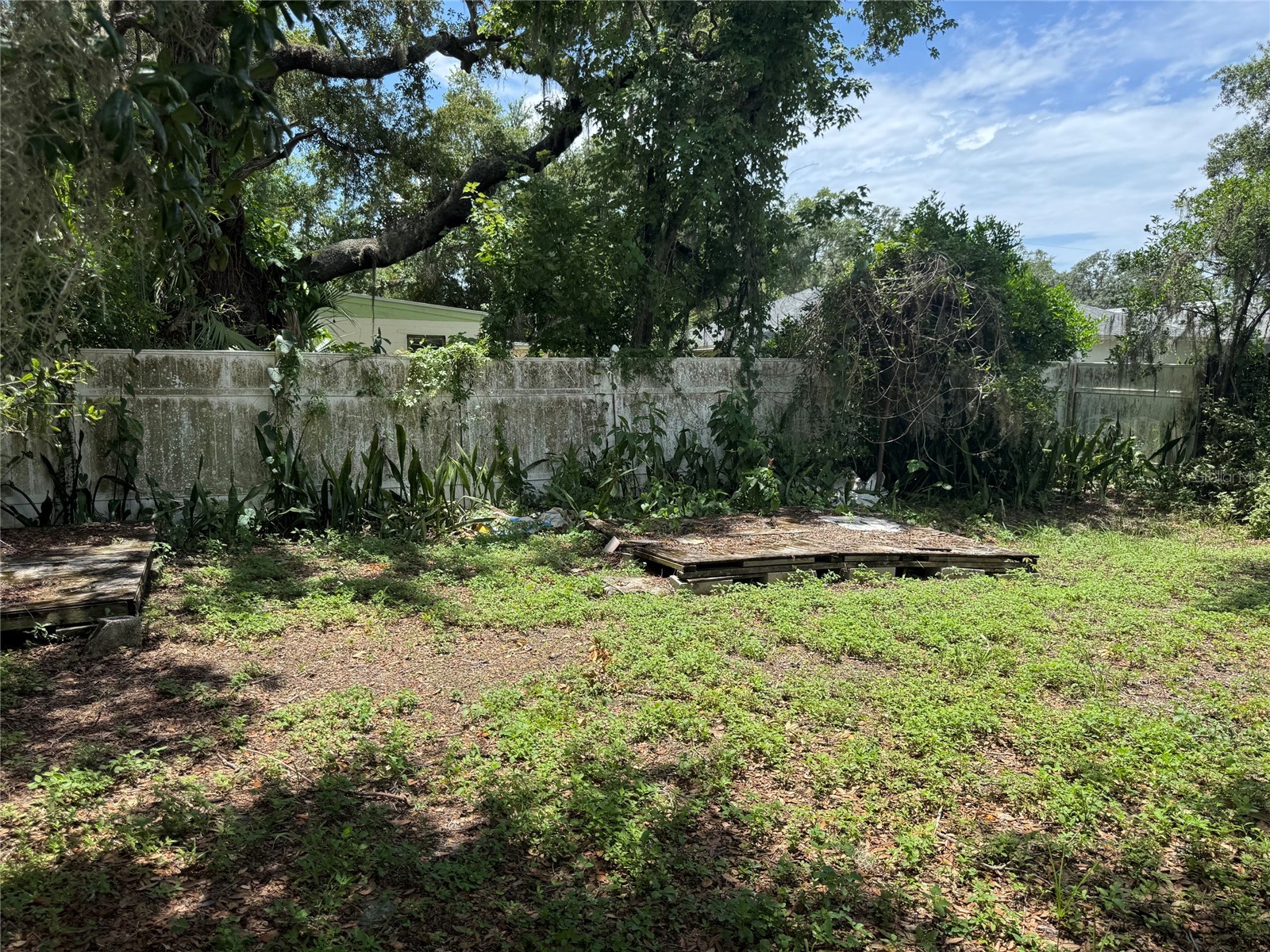 2609 E Emma Street Tampa FL 33610 TB8530406 image3
