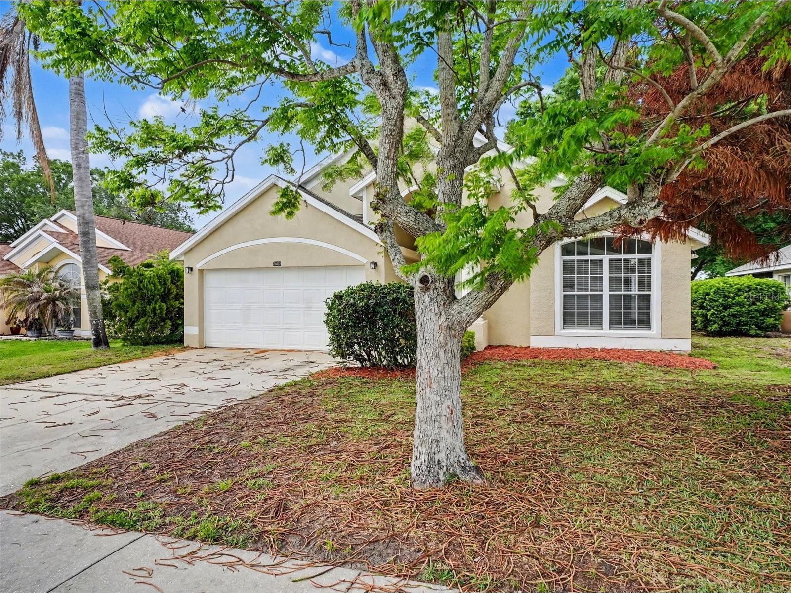 2609 Meadow Oaks Loop Clermont FL 34714 O6397970 image2
