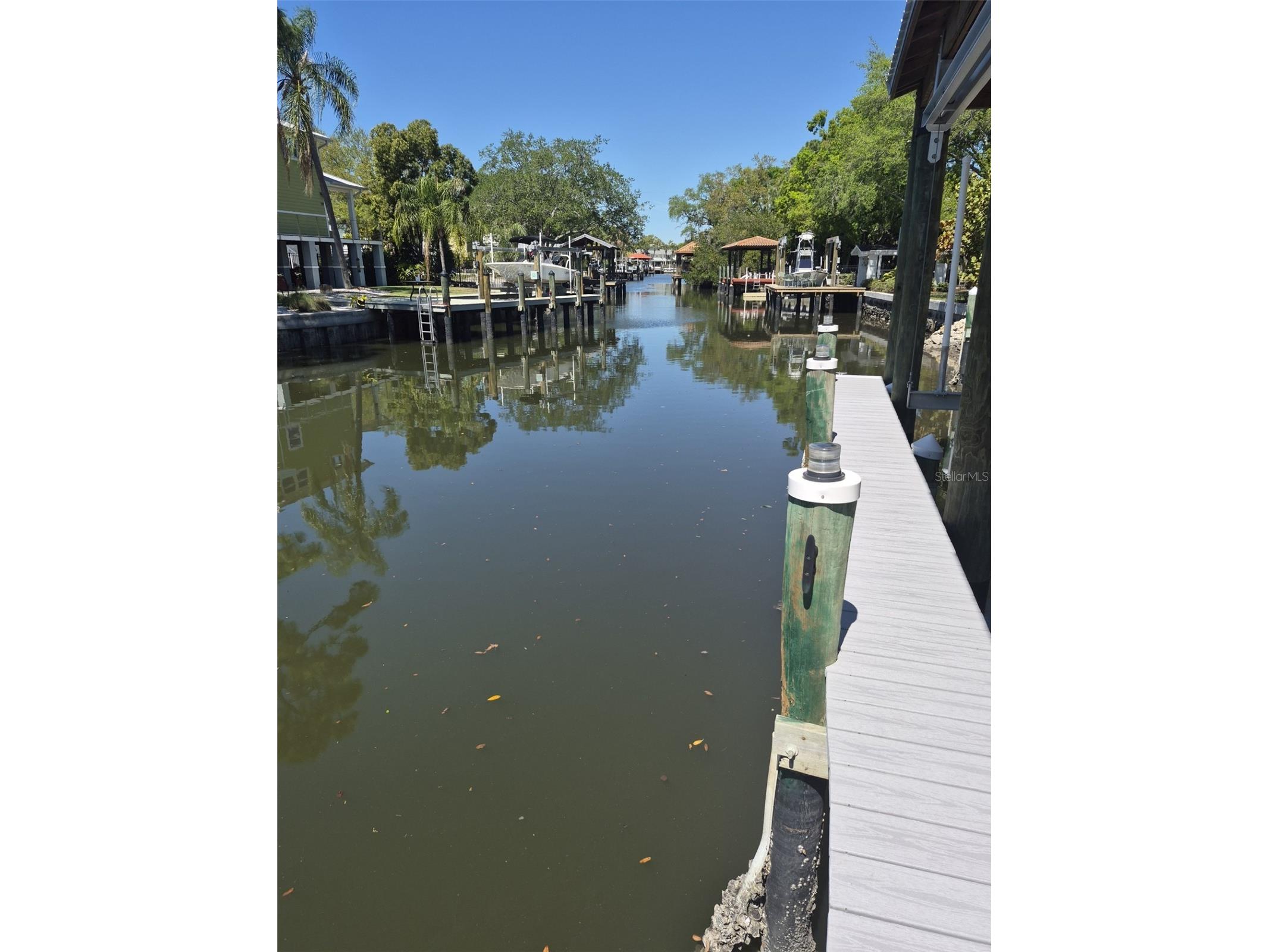 2609 N Dundee Street Tampa FL 33629 TB8458846 image24