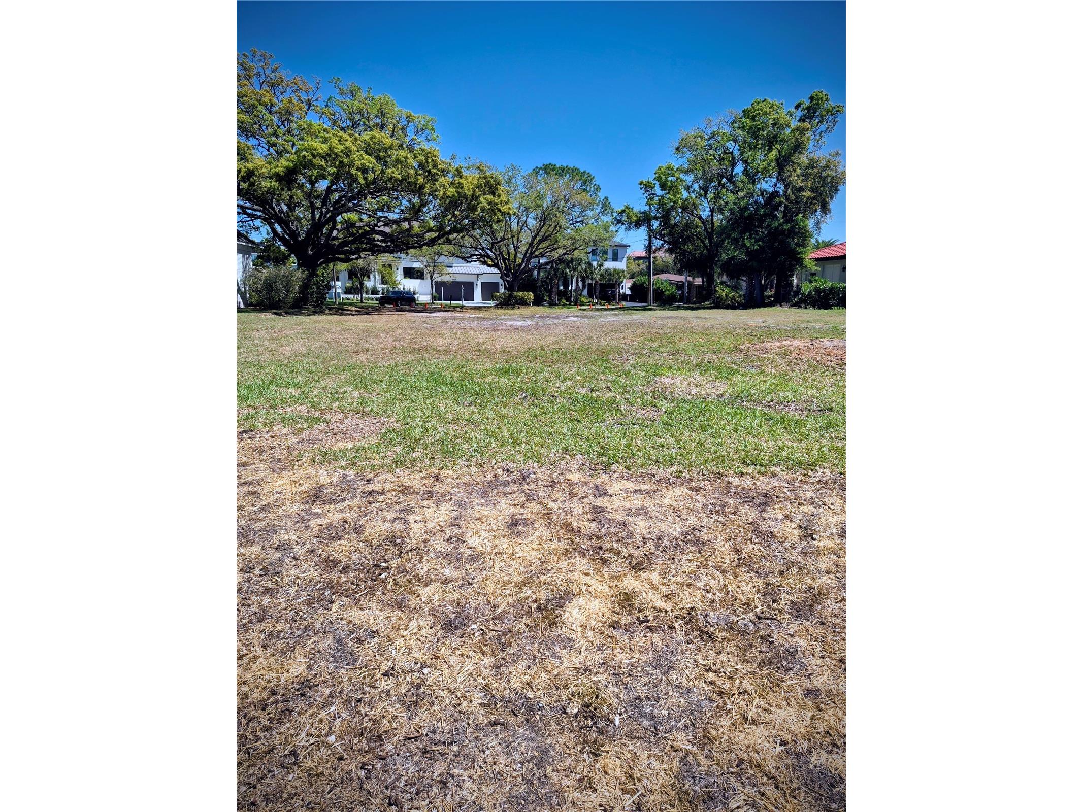 2609 N Dundee Street Tampa FL 33629 TB8458846 image27