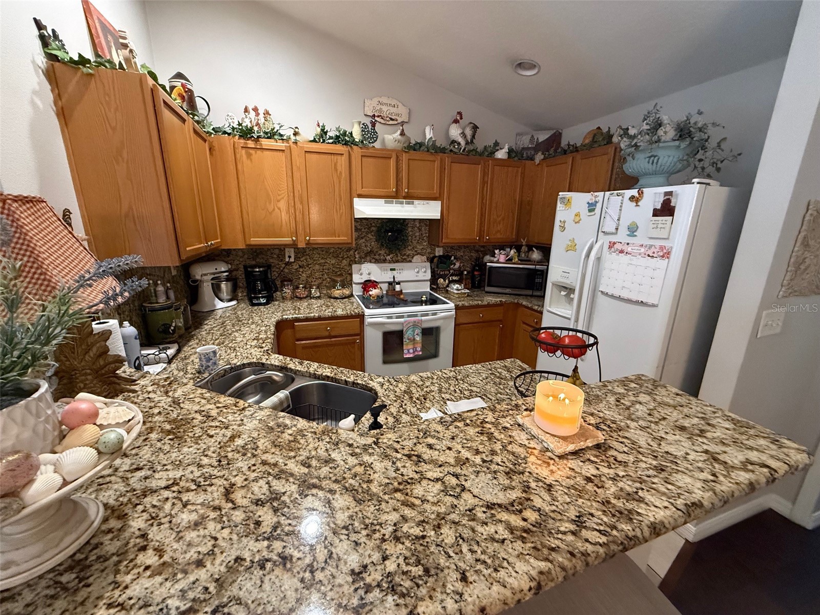 261 Brookdale Loop Clermont FL 34711 O6396445 image5