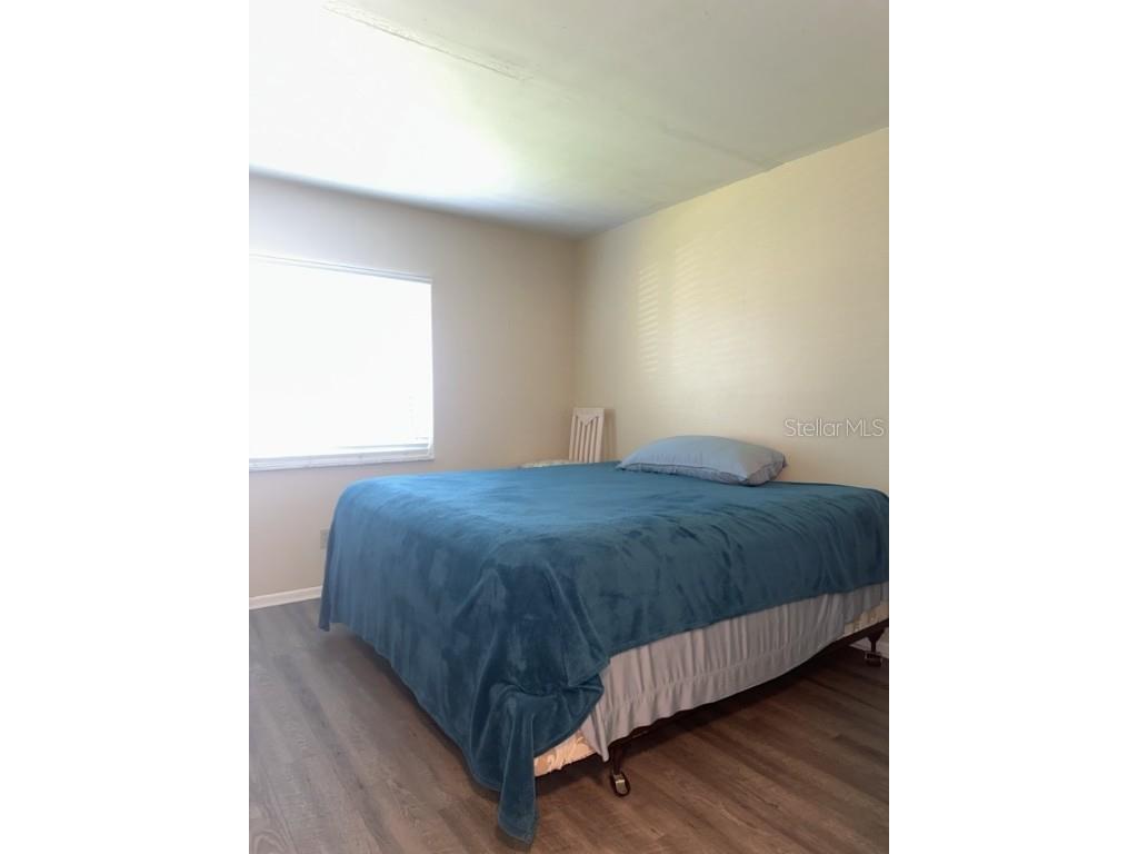 261 Cypress Lane Oldsmar FL 34677 TB8442536 image19