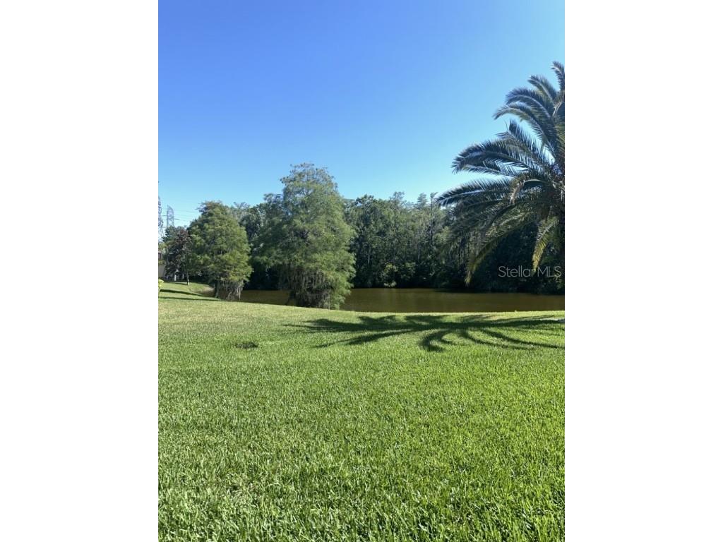 261 Cypress Lane Oldsmar FL 34677 TB8442536 image22