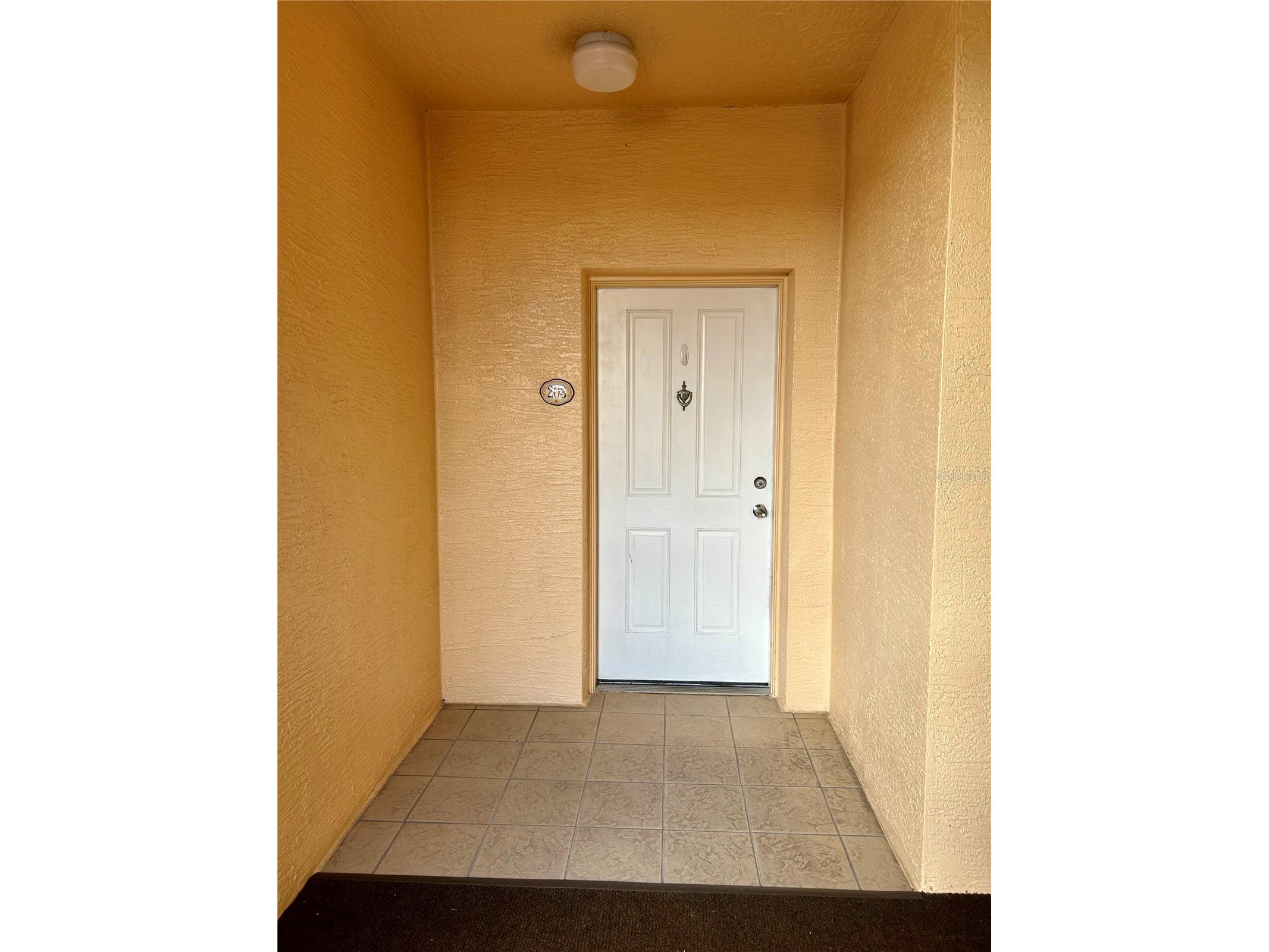 261 Minorca Beach Way #203 New Smyrna Beach FL 32169 NS1087860 image57