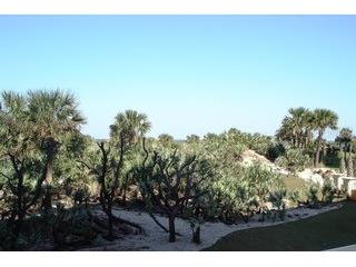 261 Minorca Beach Way #203 New Smyrna Beach FL 32169 NS1087860 image8