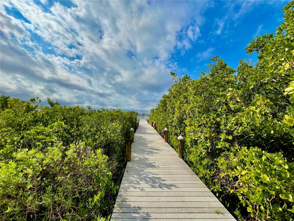 261 Minorca Beach Way #702 New Smyrna Beach FL 32169 NS1086012 image52