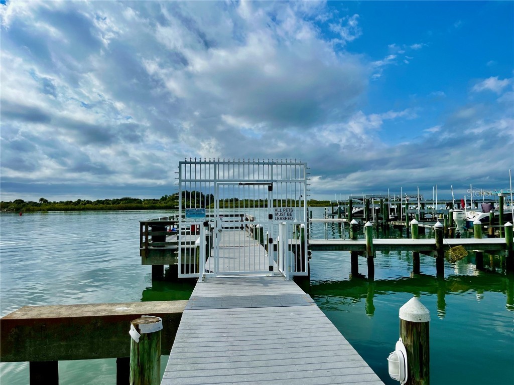 261 Minorca Beach Way #702 New Smyrna Beach FL 32169 NS1086012 image53