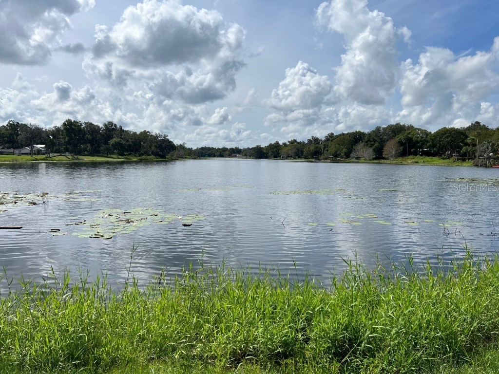 261 N Lakeview Drive Lake Helen FL 32744 - LAKE HELEN O6345125 image44