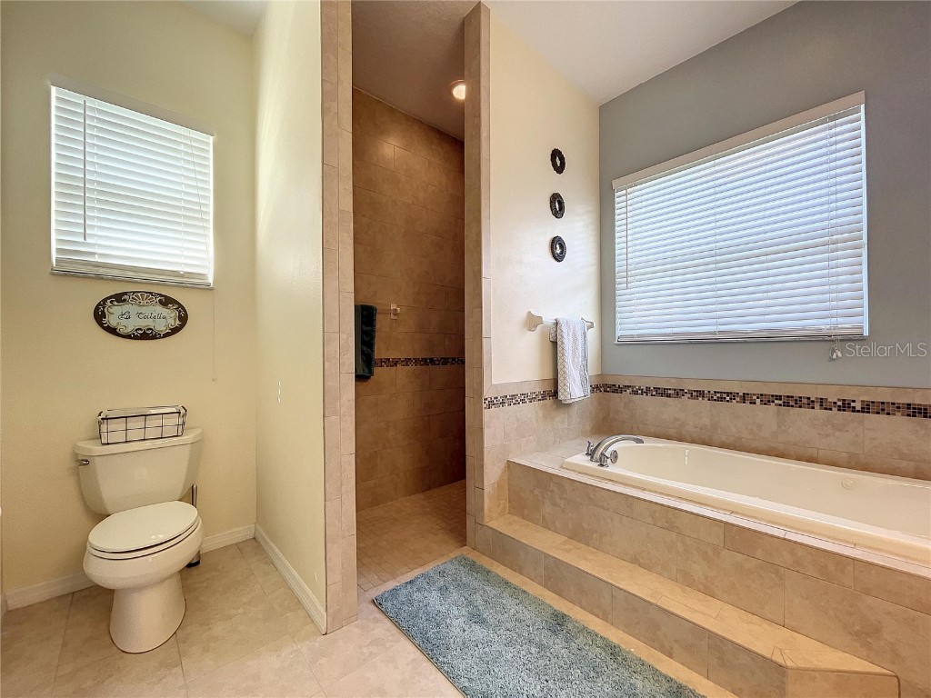 2610 Cabot Road Land O Lakes FL 34639 TB8457535 image38