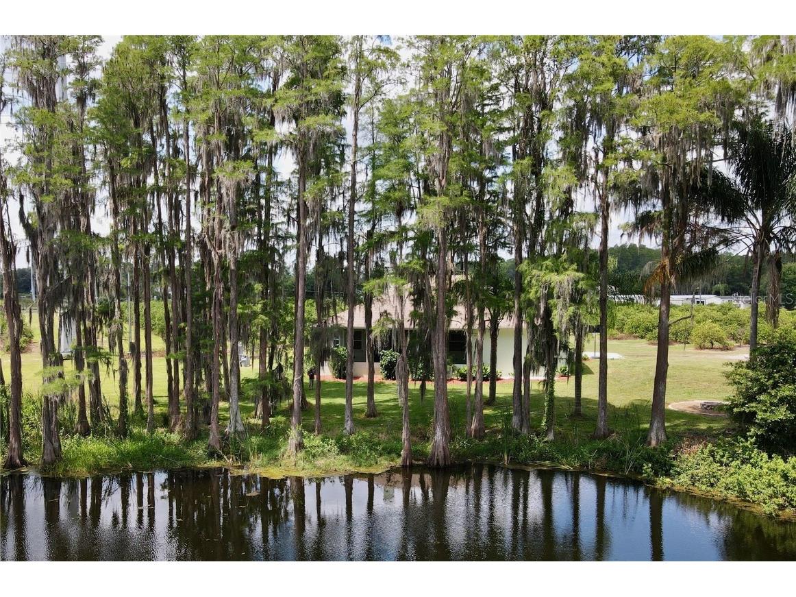 2610 Cabot Road Land O Lakes FL 34639 TB8457535 image4