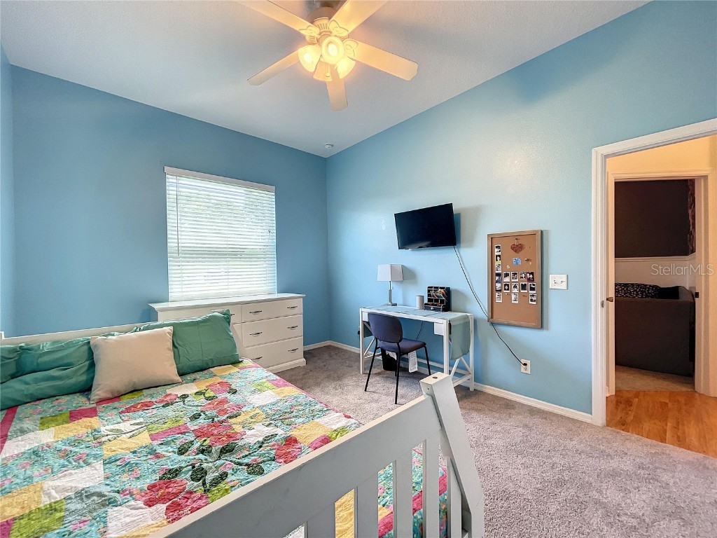 2610 Cabot Road Land O Lakes FL 34639 TB8457535 image42