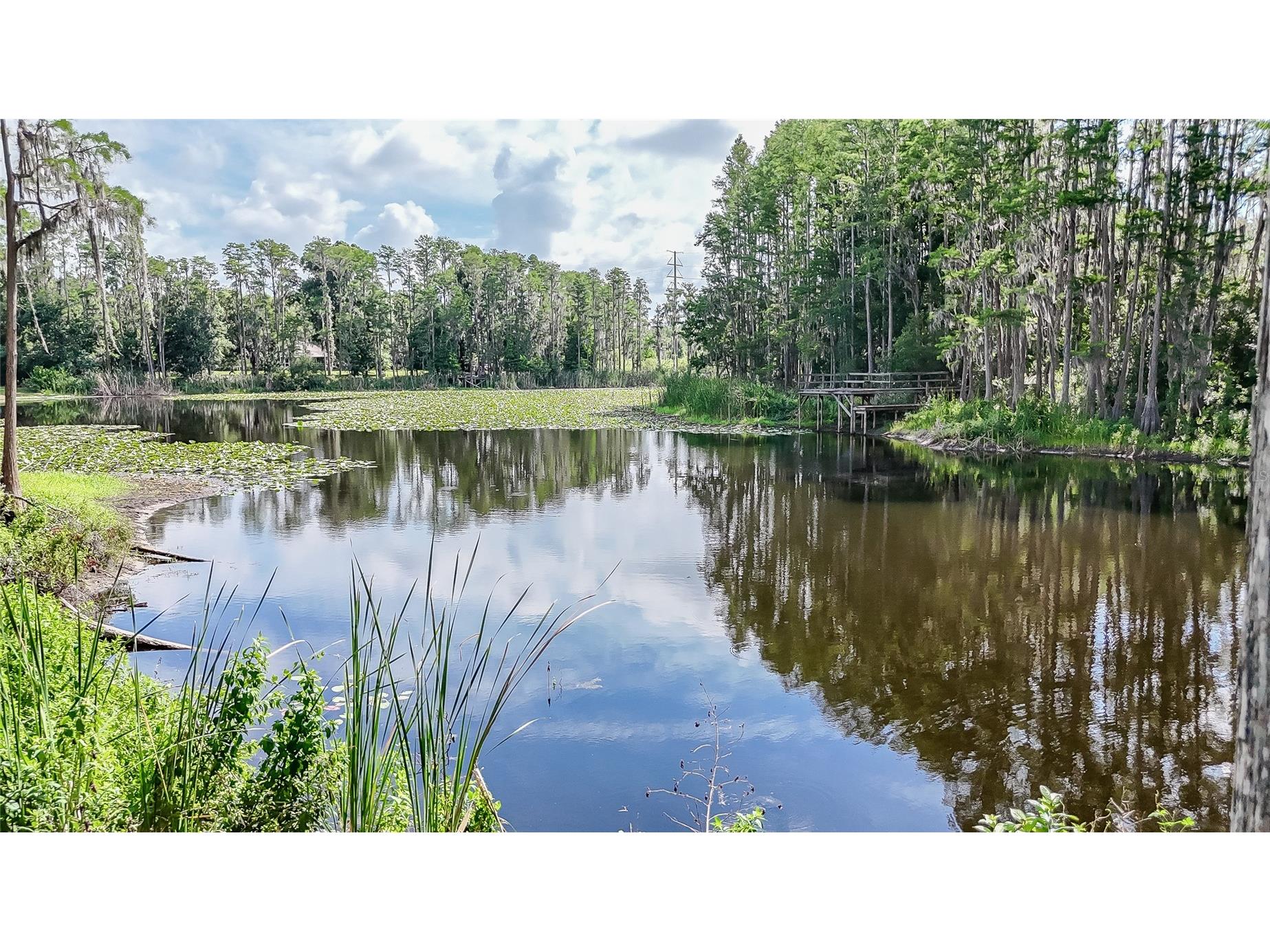 2610 Cabot Road Land O Lakes FL 34639 TB8514910 image2