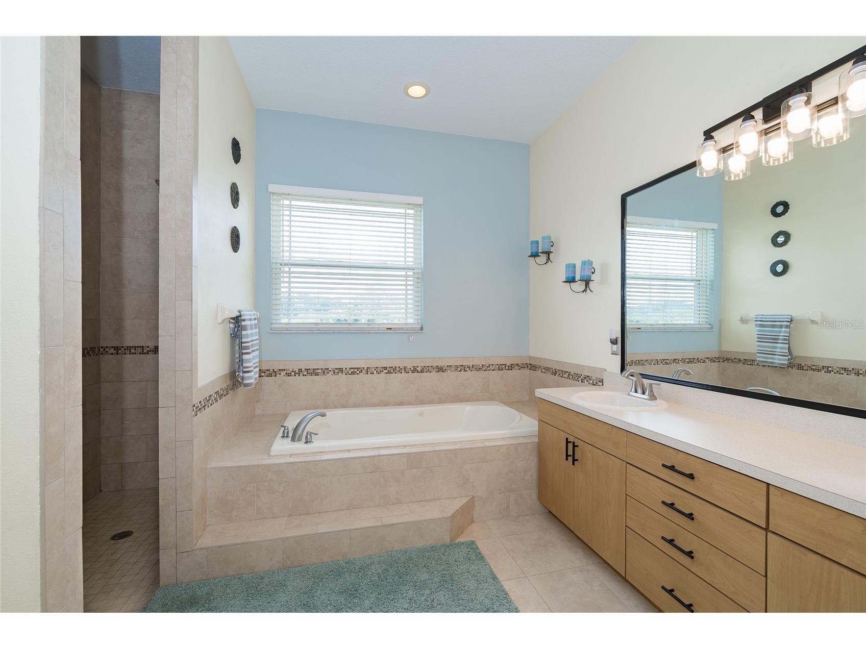 2610 Cabot Road Land O Lakes FL 34639 TB8514910 image24