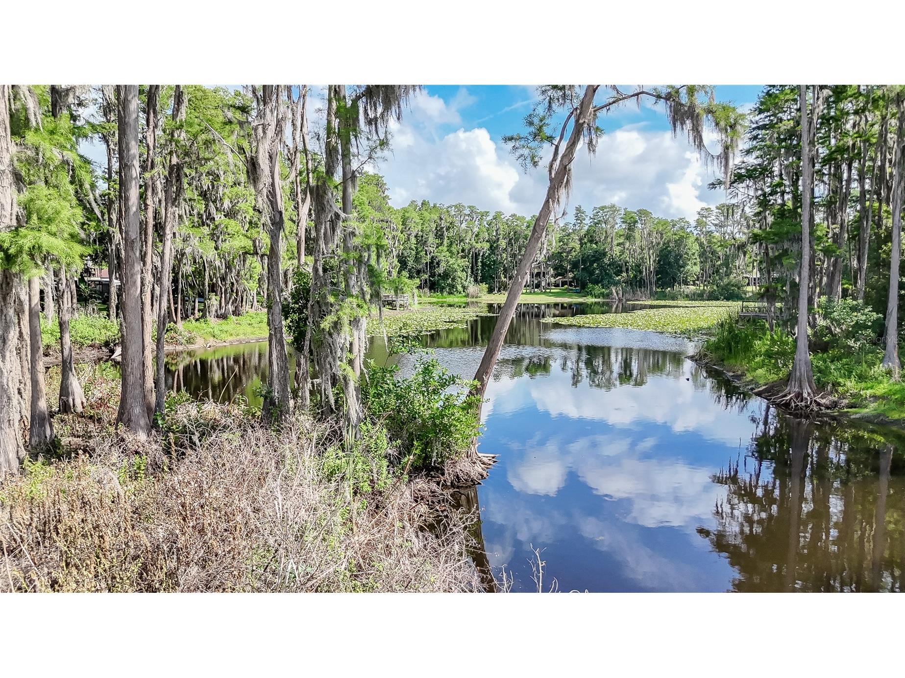 2610 Cabot Road Land O Lakes FL 34639 TB8514910 image44
